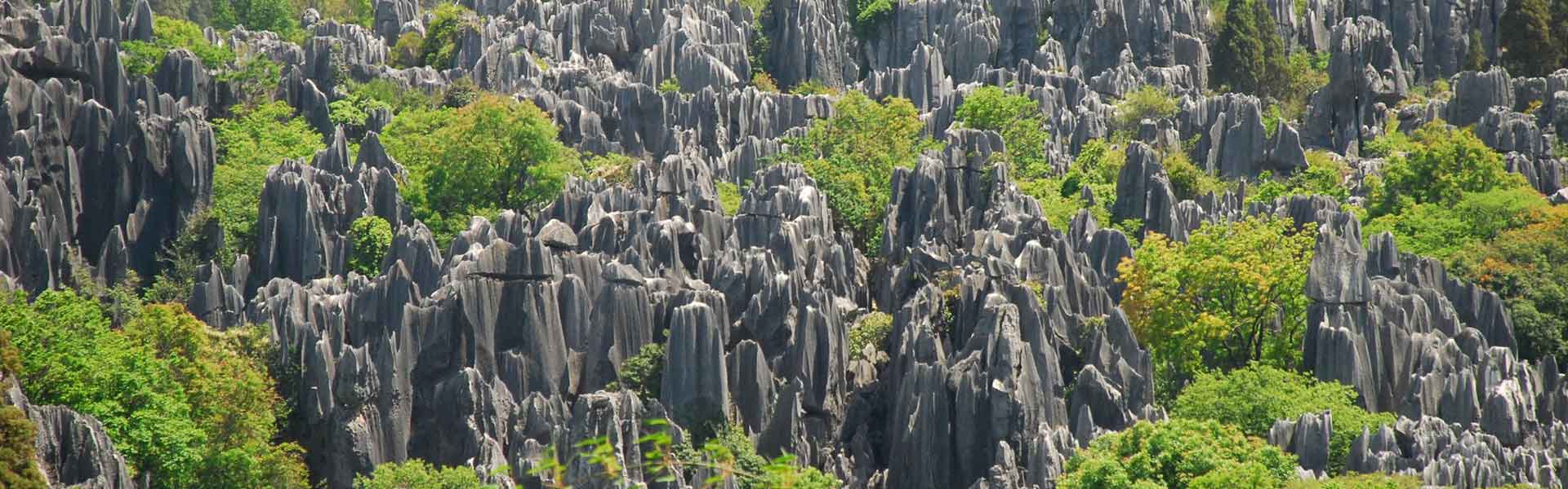 Stone Forest, Yunnan Tours